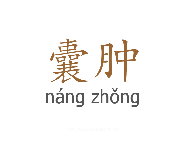 囊肿