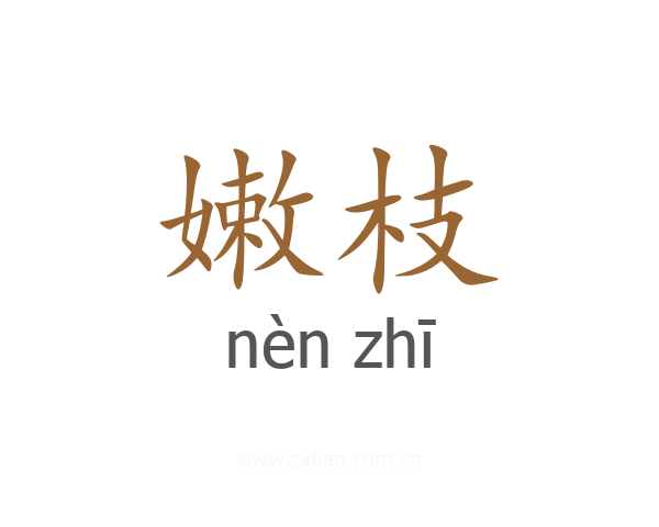 嫩枝