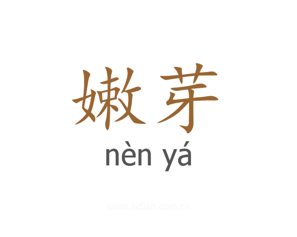 嫩芽