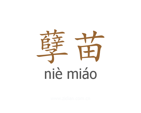 孽苗