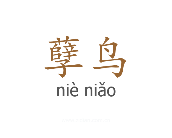 孽鸟