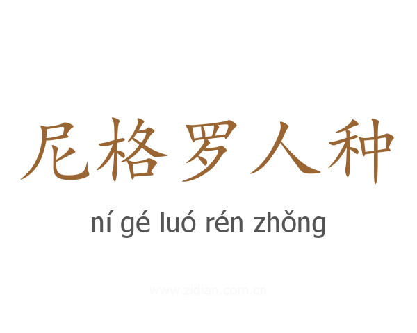 尼格罗人种