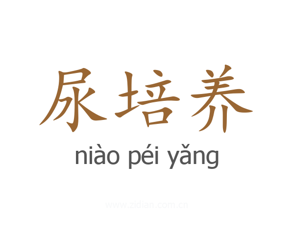 尿培养