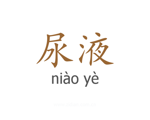 尿液
