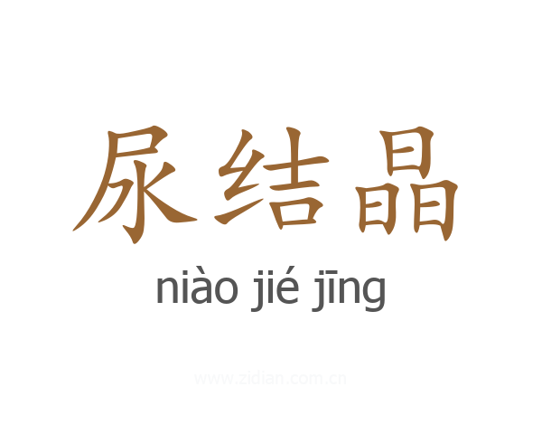 尿结晶