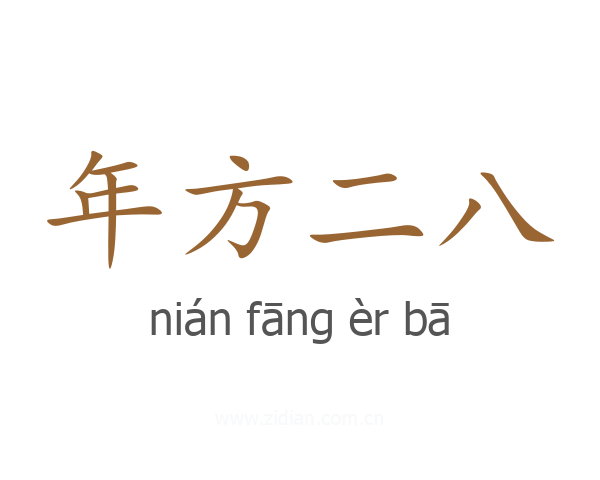 年方二八