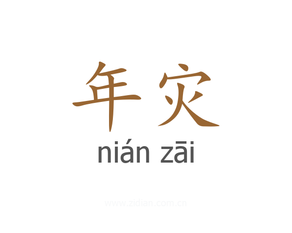 年灾