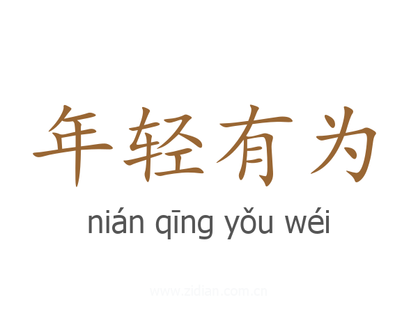 年轻有为