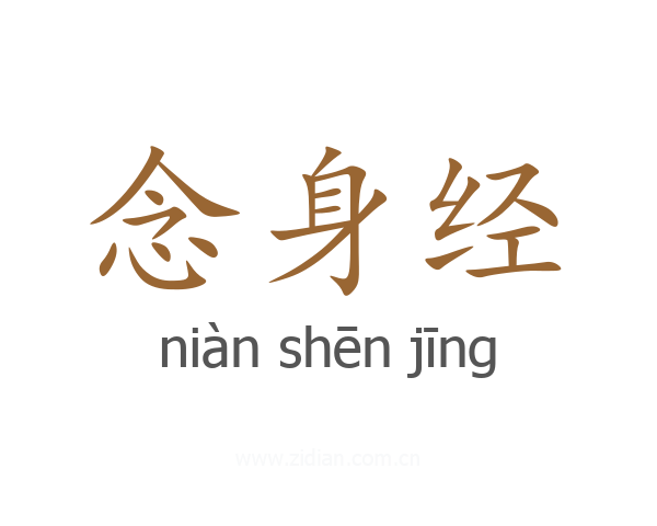 念身经