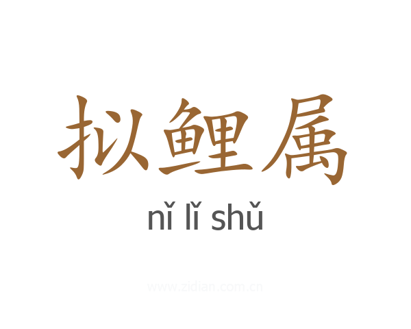 拟鲤属