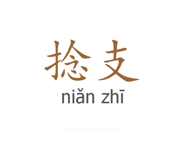 捻支