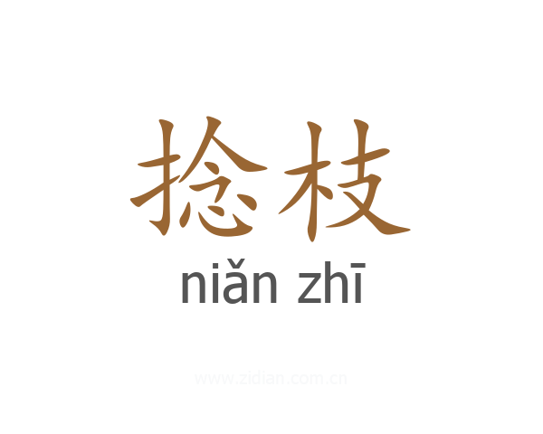 捻枝