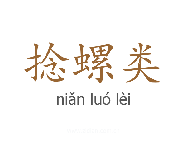 捻螺类