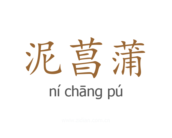 泥菖蒲