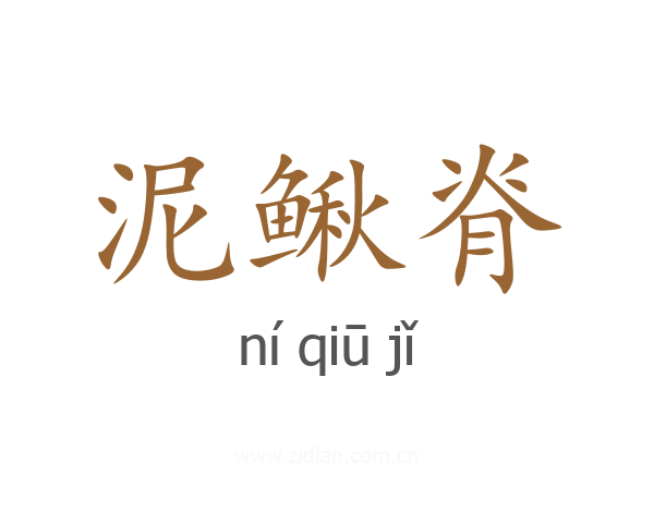 泥鳅脊