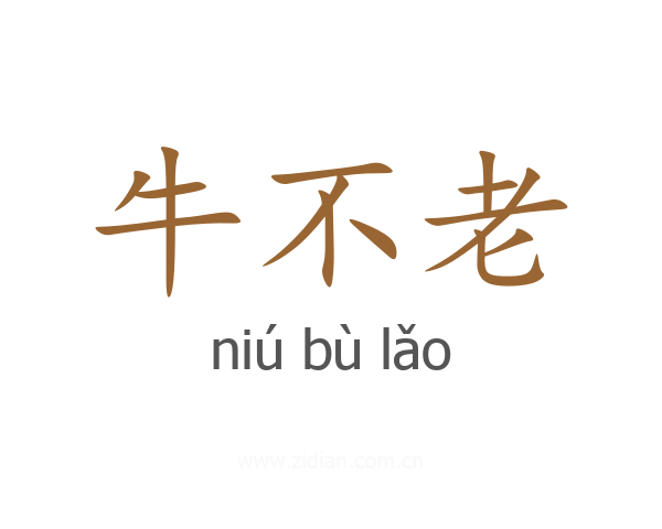 牛不老