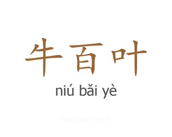 牛百叶