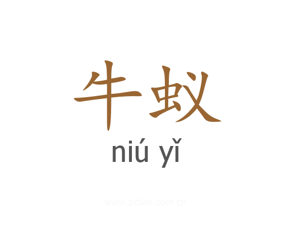 牛蚁