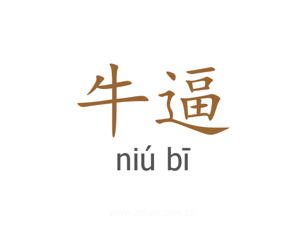 牛逼