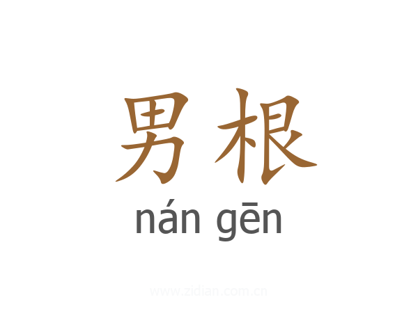 男根