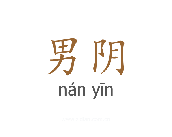 男阴