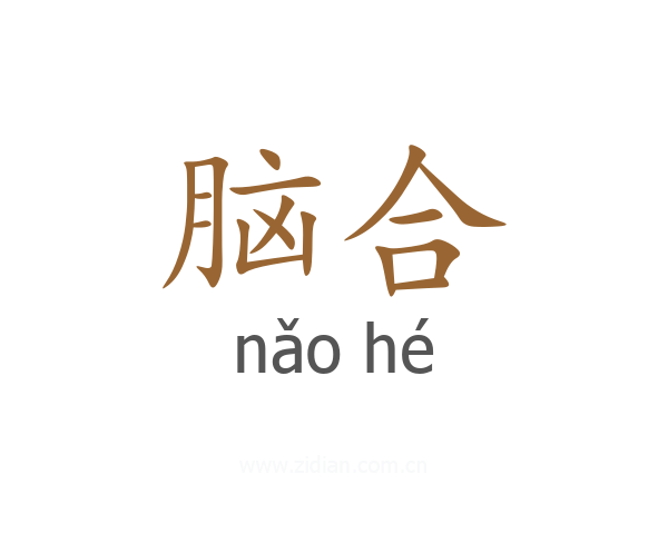 脑合