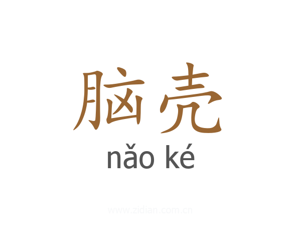 脑壳