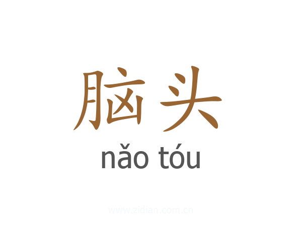 脑头