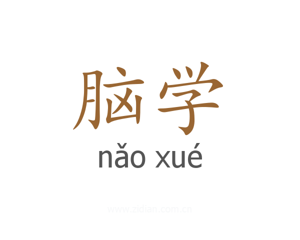脑学