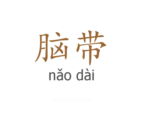 脑带