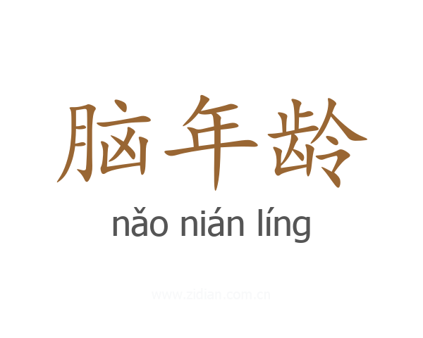 脑年龄