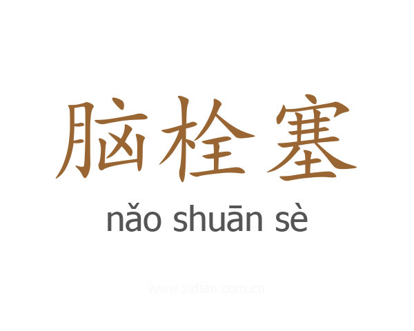 脑栓塞