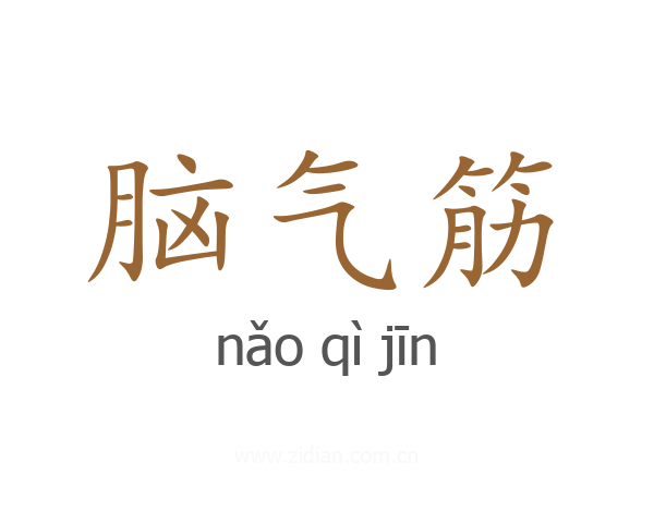 脑气筋