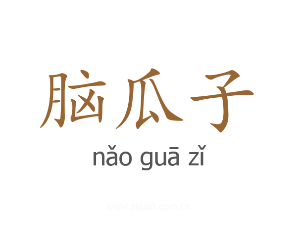 脑瓜子