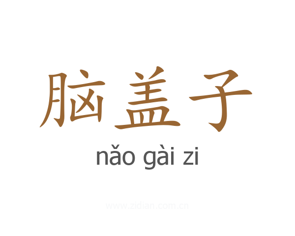 脑盖子