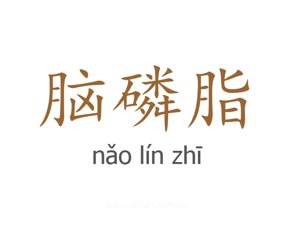 脑磷脂