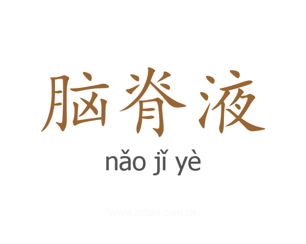 脑脊液