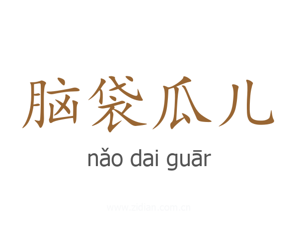 脑袋瓜儿