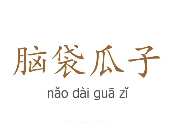 脑袋瓜子