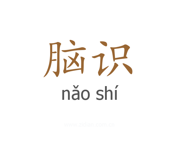 脑识