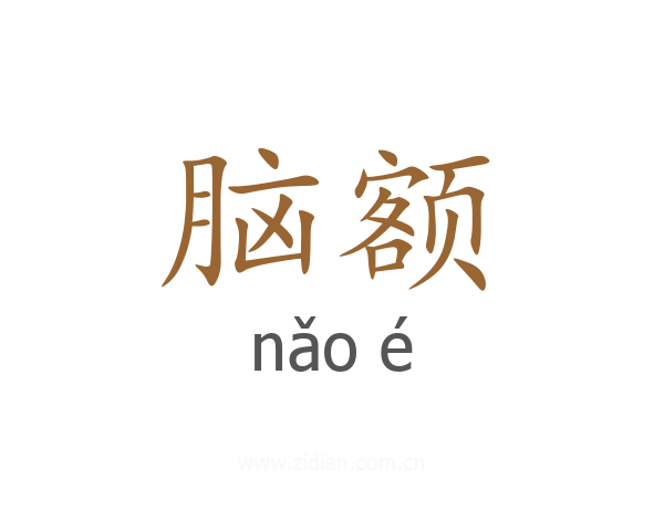 脑额