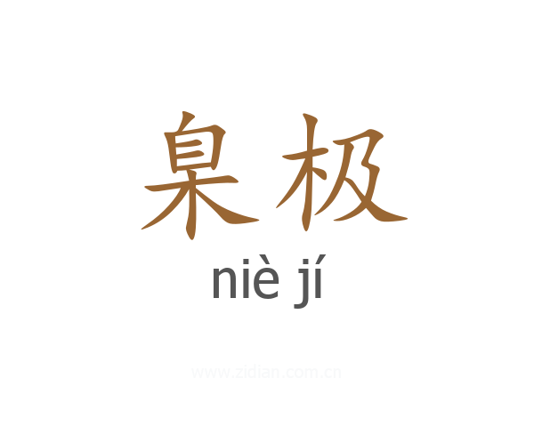 臬极