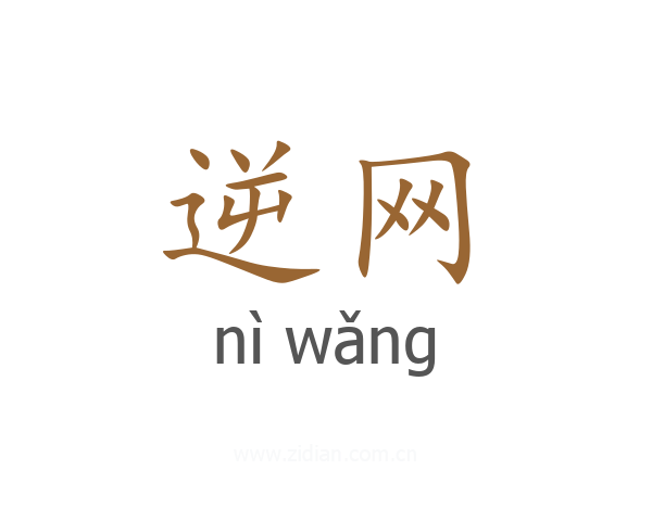 逆网