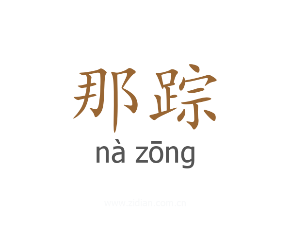 那踪
