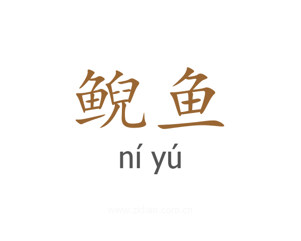 鲵鱼