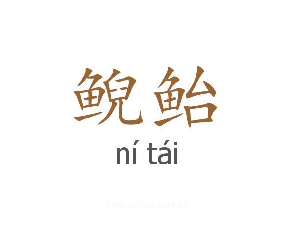 鲵鲐