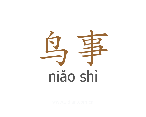 鸟事