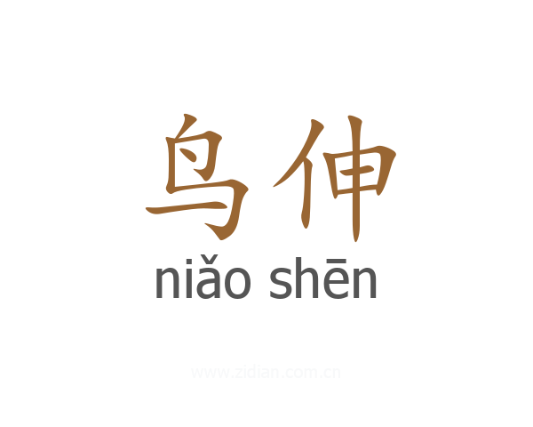 鸟伸
