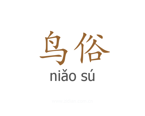 鸟俗
