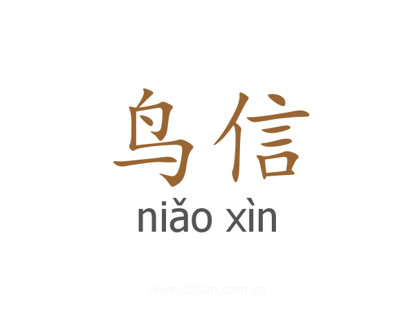 鸟信